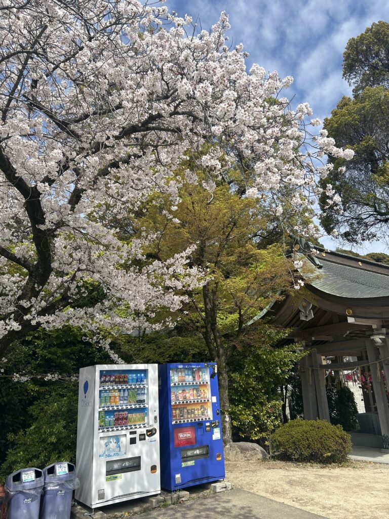 4月7日スタート「春日ブレスラウンジヨガ」への想い